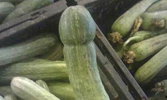 洛瑞在线吃瓜,揭秘娱乐圈幕后真相