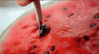 吃瓜可以流产嘛,揭秘瓜果与孕期健康的微妙关系”