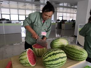 快乐的吃瓜驿站,揭秘娱乐圈的欢乐与泪水