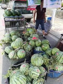 湖南校园吃瓜事件